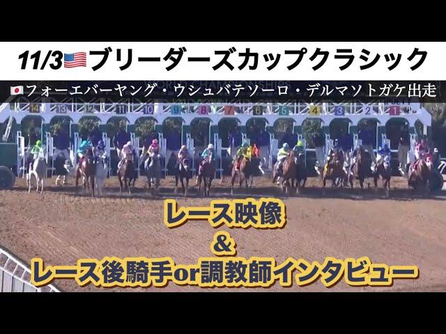 【2024BCクラシック】レースダイジェスト＆日本関係者インタビュー