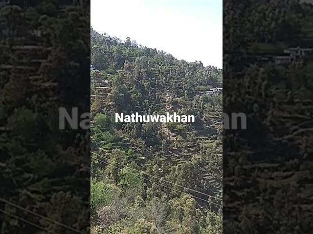 Valley View of Nathuwakhan, Nainital Uttarakhand