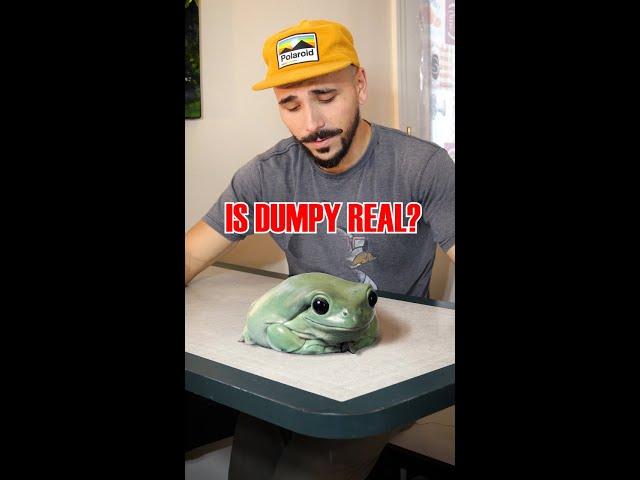 Let’s talk Dumpy. Who is she? Is the giant frog REAL? #bigfrog #vfx #cgi #zachking #funnyanimals