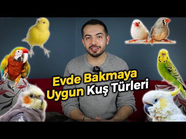 Evde Beslemek İçin En Uygun 8 Kuş Türü (HANGİ KUŞ TÜRÜNÜ BESLEMELİYİM?)