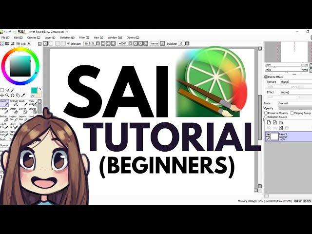 Beginner Paint Tool SAI Tutorial // All my Tips