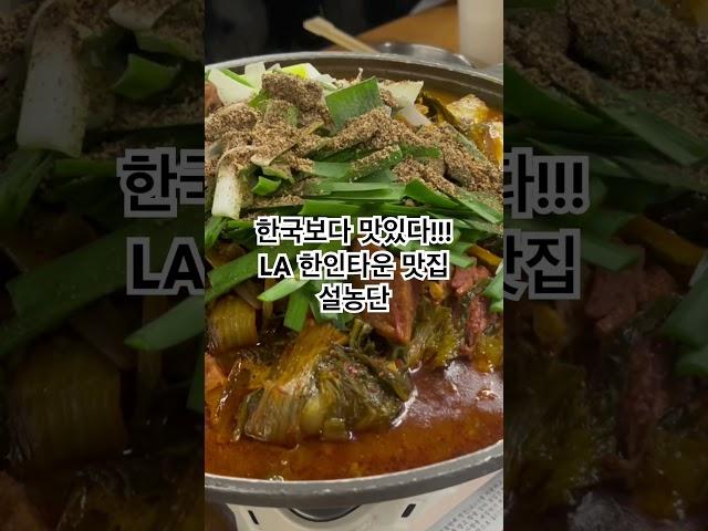 한국보다 맛있는 LA 한인타운 맛집 설농단 #la여행 #la맛집추천 #한인타운