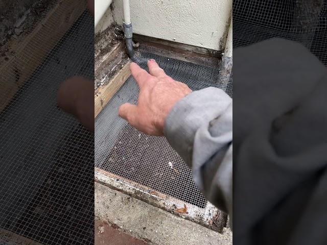 Keeping Rats Out of Crawl Space | Versa-Tech® Rodent Proofing & Control | LA County