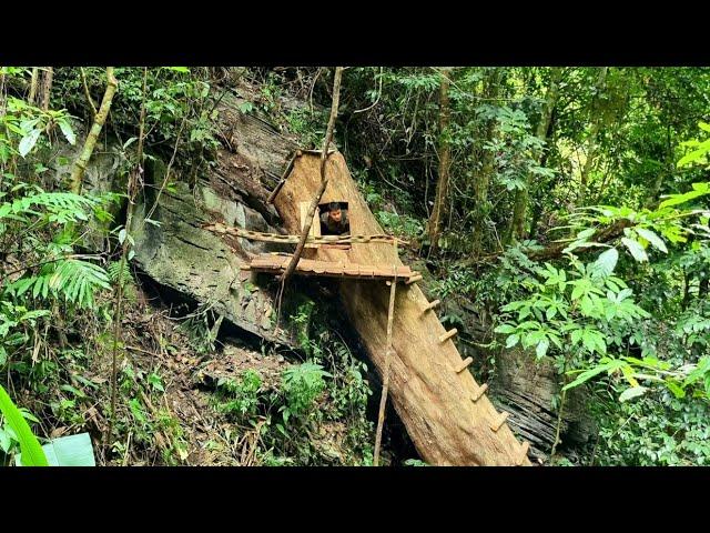 Make shelter in a giant rotting tree trunk, cook and spend the night in the forest alone