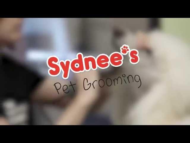 Sydnee's Pet Grooming Core Values