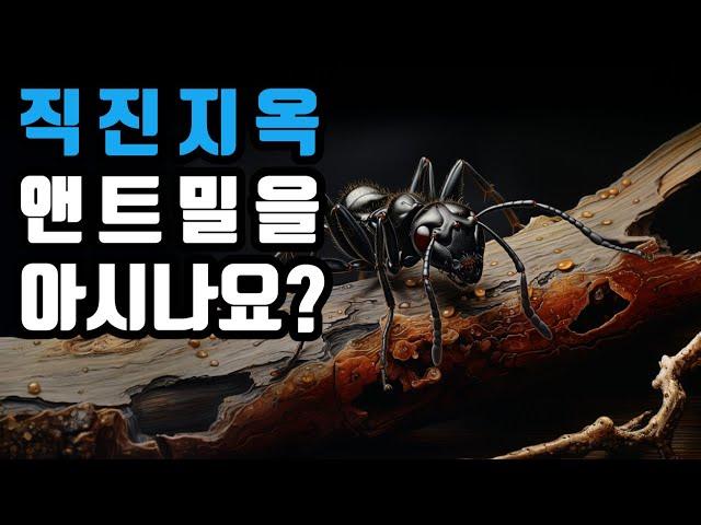 영원히 빠져 나갈 수 없는 사회적 덫! 소용돌이 개미지옥 앤트밀을 아시나요?