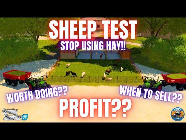 SHEEP TEST - Farming Simulator 22