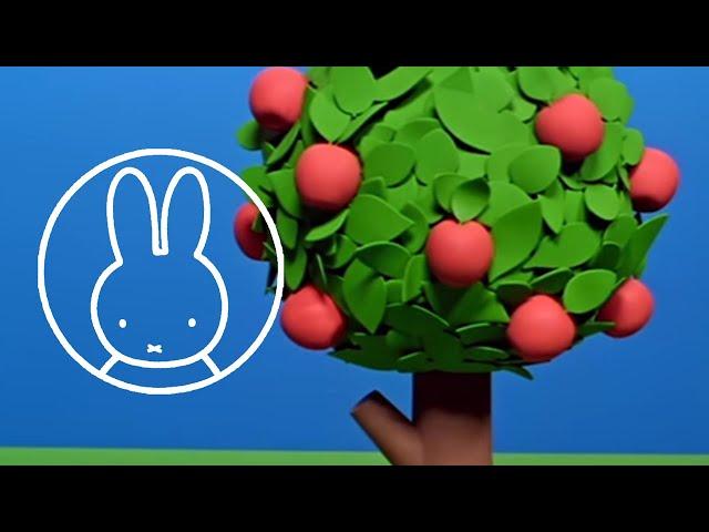 Miffy's Apple Pie • Miffy and Friends