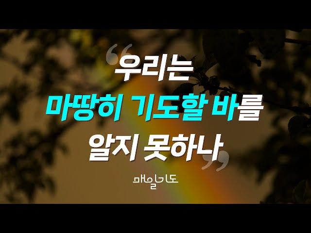 [매일기도] 10월 25일 금요일 | 우리는 마땅히 기도할 바를 알지 못하나