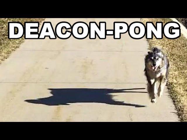 Deacon Pong