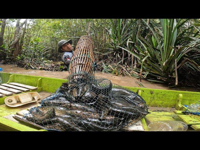 LUAR BIASA MELIMPAHNYA IKAN DI RAWA INI, SAMPAN PENUH.. PECAH REKOR DI AWAL TAHUN..