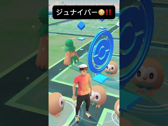 【ポケモンGO】ジュナイパーが現れた!!【Decidueye Pokémon GO X Pokemon Card Artwalk 】