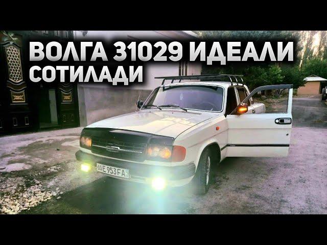 Волга 31029 идеали сотилади! Бунақаси кам.