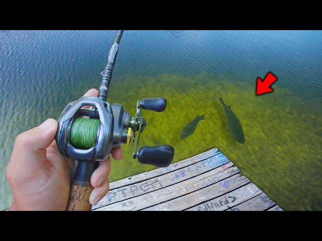 Fishing CRYSTAL CLEAR Water Hidden Ponds! (Bank Fishing)