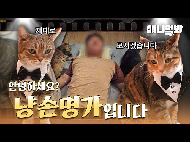 Can a cat lie down together during massage session?