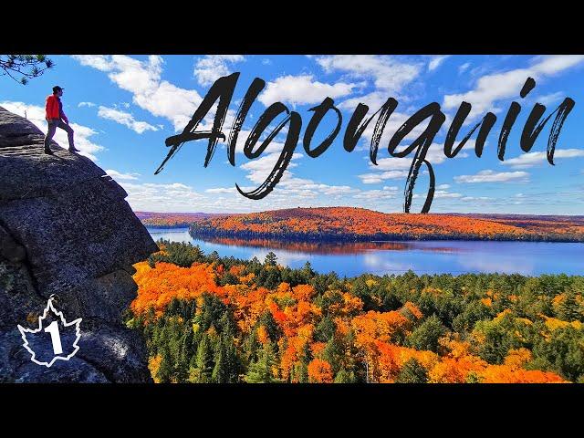 Fall in Algonquin Is Canada's Best Kept Secret! Insane Foliage Roadtrip!