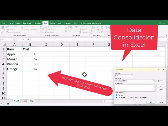 Data Consolidation in Microsoft Excel