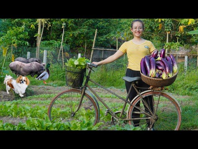 The kind man who helped him fell off his bike and went to the market to sell mulberry skin