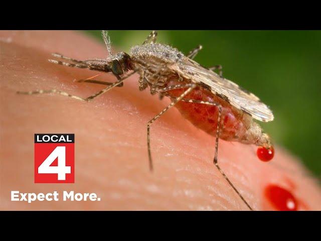 Deadly mosquito-bourne virus found in Michigan