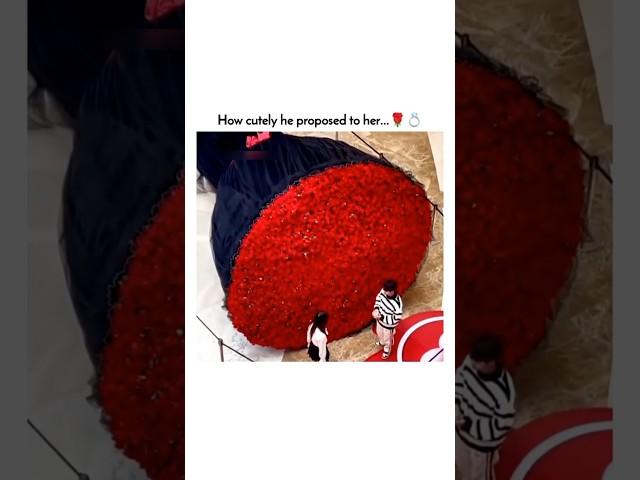 How cutely he proposed to her