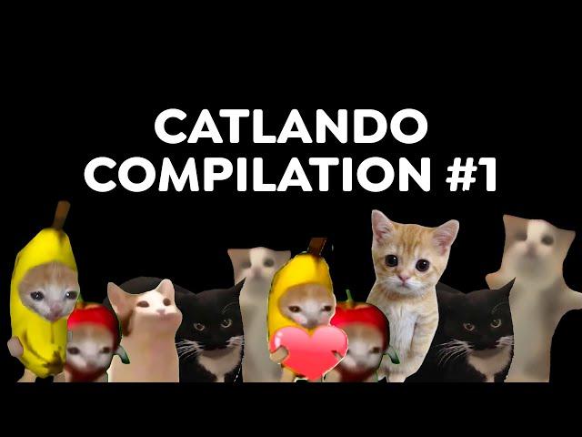 CATLANDO COMPILATION #1  (BANANA CAT, HAPPY CAT, MAXWELL CAT, APPLE CAT, EL GATO)