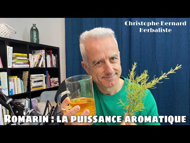 Romarin (Rosmarinus officinalis) : la puissance aromatique