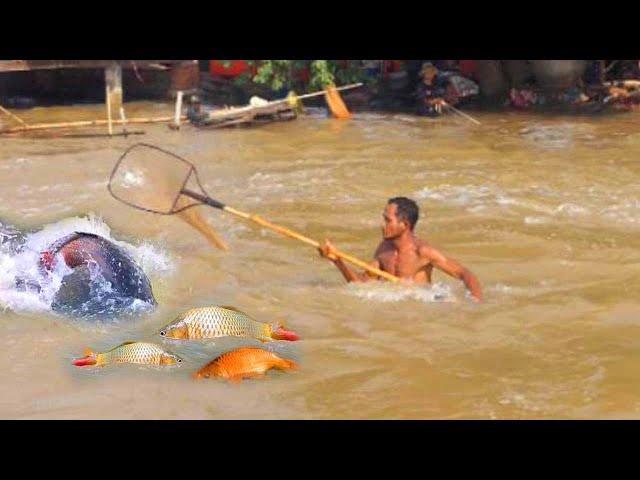 New Fishing 2024, Best Fishing Video in flood season Catch Lot Of Fish