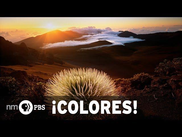 NMPBS ¡COLORES!: New Mexico landscape photographer David Muench