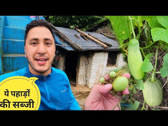 पहाड़ों में होने वाली हमारी स्पेशल सब्जी || Pahadi Lifestyle Vlog || Cool Pahadi