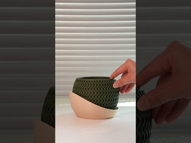 Check out this beautiful, elegant planter — it's almost like a piece of art. Designed by @h3li0.3d .