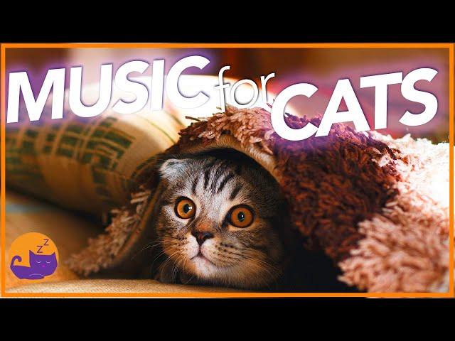 21 HOURS of Non-Stop Relaxing Cat Music - UNBELIEVABLE RESULTS