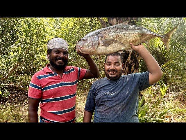 KING SIZE FISH FRY | FISH FRY MAKING AND EATING |Village Style FRY /Big fish fry /Village Besty food