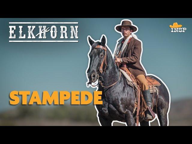 Sneak Peek | Stampede | Elkhorn | Theodore Roosevelt | INSP