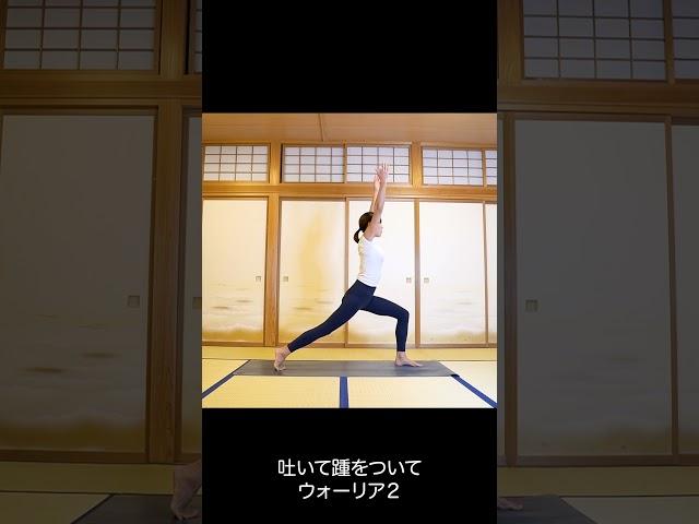 [Morning Flow Yoga] Wake up with flow yoga