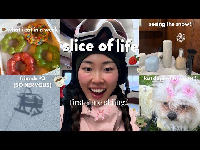 slice of life: snowboarding for the first time, eating w friends, cozy winter morning vlog ₊˚｡⋆⋆｡˚₊