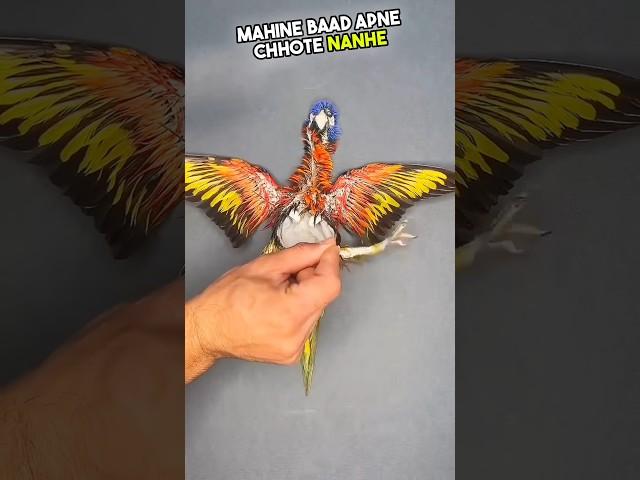 This man brought his dead parrot back to life