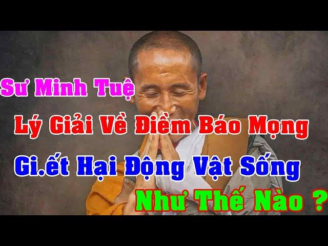 Sư Minh Tuệ Nói Về Chuyện Tâm Linh Và Điềm Chêm Bao Báo Mọng Như Thế nào ?