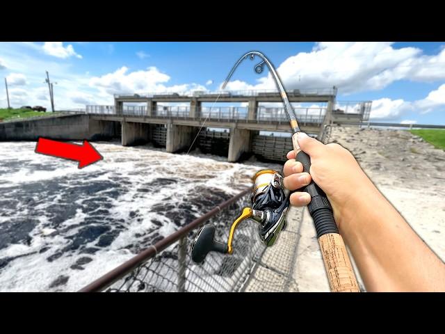 Fishing a BIG Spillway for ANYTHING that Bites!! (NEW Spot)