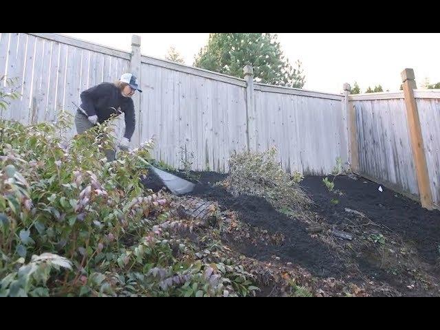 Landscape Prep: Steep Slope Erosion Control