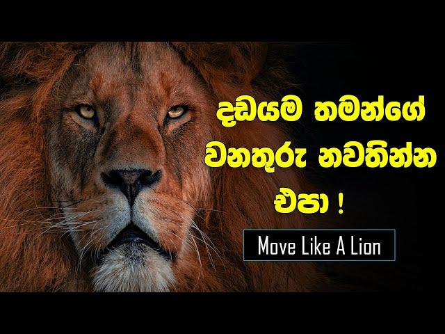 Move Like A Lion | Spoken Words | Morning Motivational Video