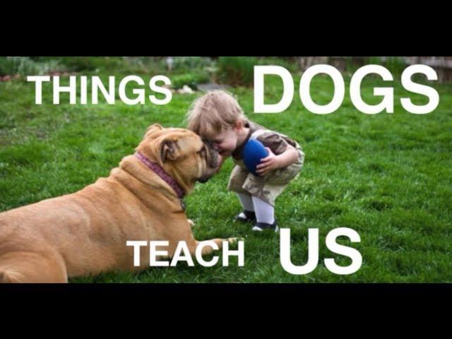 Things Dogs Teach Us