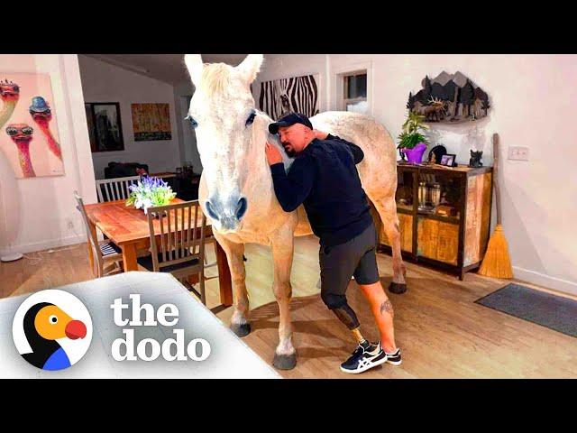 Horse Lets Herself Into The House Whenever She Wants | The Dodo Soulmates