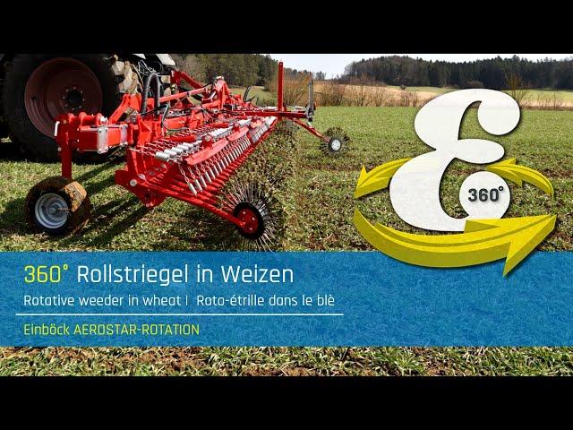 VR 360° | Rotative weeder in wheat | Einböck 360° experience #02