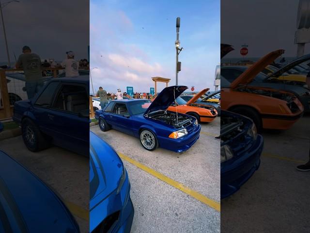 Anyone else missing Mustang Week TX, or is it just us?  #latemodelresto #shorts