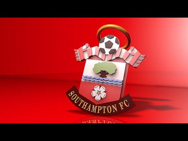 Southampton FC  Sky Bet Championship 2023/24 | All Goals 