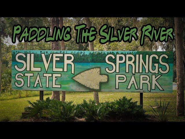 Paddling the Silver River -  Silver Springs State Park #silverriver #ocala #kayaking #kayakingfun