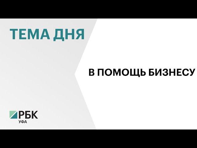 Центр "Мой бизнес" Башкортостана оказал 5,3 тыс. услуг предпринимателям с начала 2024 г.