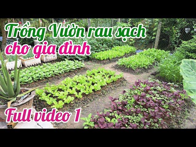 Full video 1 - Cách trồng Vườn rau sạch cho gia đình