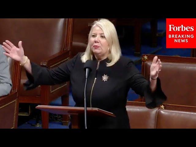 'A Lot Of Them Were Confused': Debbie Lesko Mocks Dems Over Energy Legislation