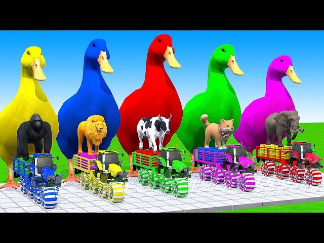 5 Giant Duck Cartoon,Cow,Tiger,Elephant,Sheep,Monkey Paint Wild Animals Crossing Fountain Animation